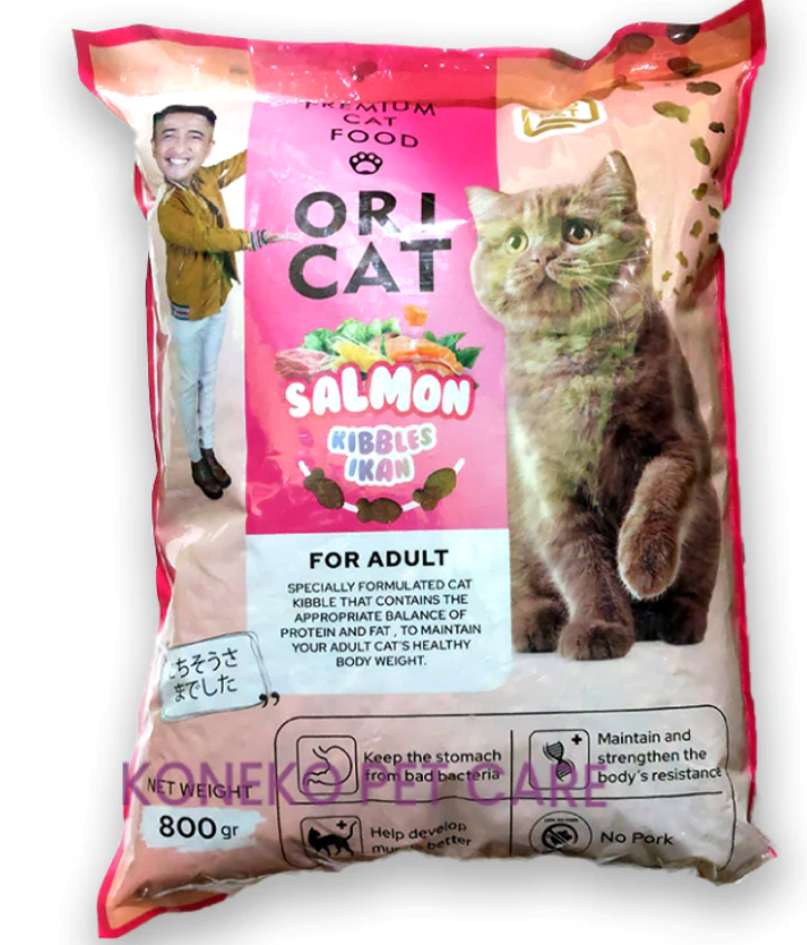 ORI CAT Cat Food Dry Food Kering 800g